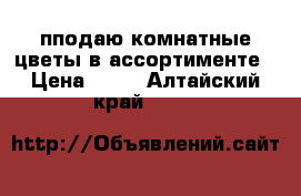 пподаю комнатные цветы в ассортименте › Цена ­ 10 - Алтайский край  »    